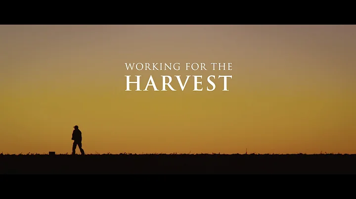 Working For The Harvest | The Ken Stephenson Story