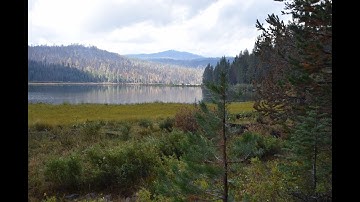 A Good Fire Story - From the Dixie Fire