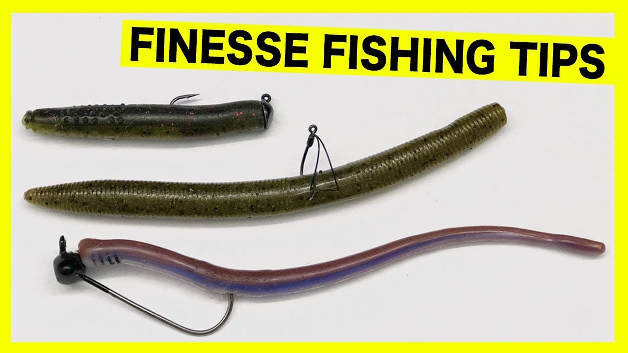 Choosing Between Top 5 FINESSE FISHING Techniques (Ned Rig vs Drop