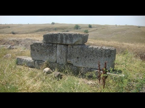 ОЛЬВИЯ НАШИ ДНИ