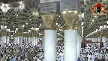 تلاوة رائعة لسورة فاطر للشيخ احمد بن علي الحذيفي من تراويح رمضان 1438هـ