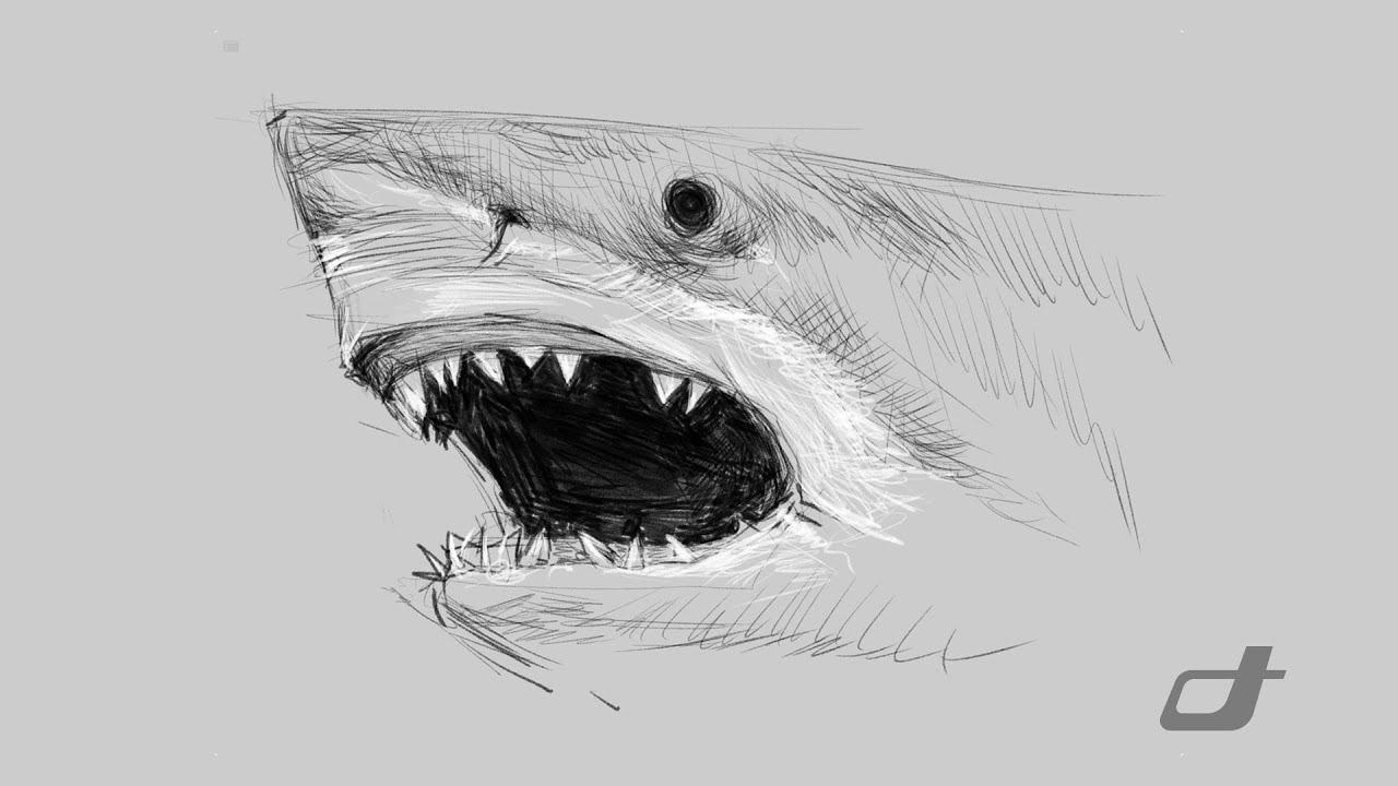 Digital Art Showcase: Creating a Great White Shark Drawing on iPad with ...