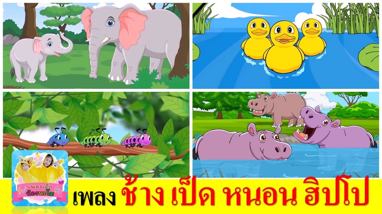 รวมฮิตเพลงเด็ก | ช้าง เป็ด หนอน ฮิปโป | ช้างช้างช้าง | เป็ดอาบน้ำในคลอง | หนอนผีเสื้อ | ฮิปโป