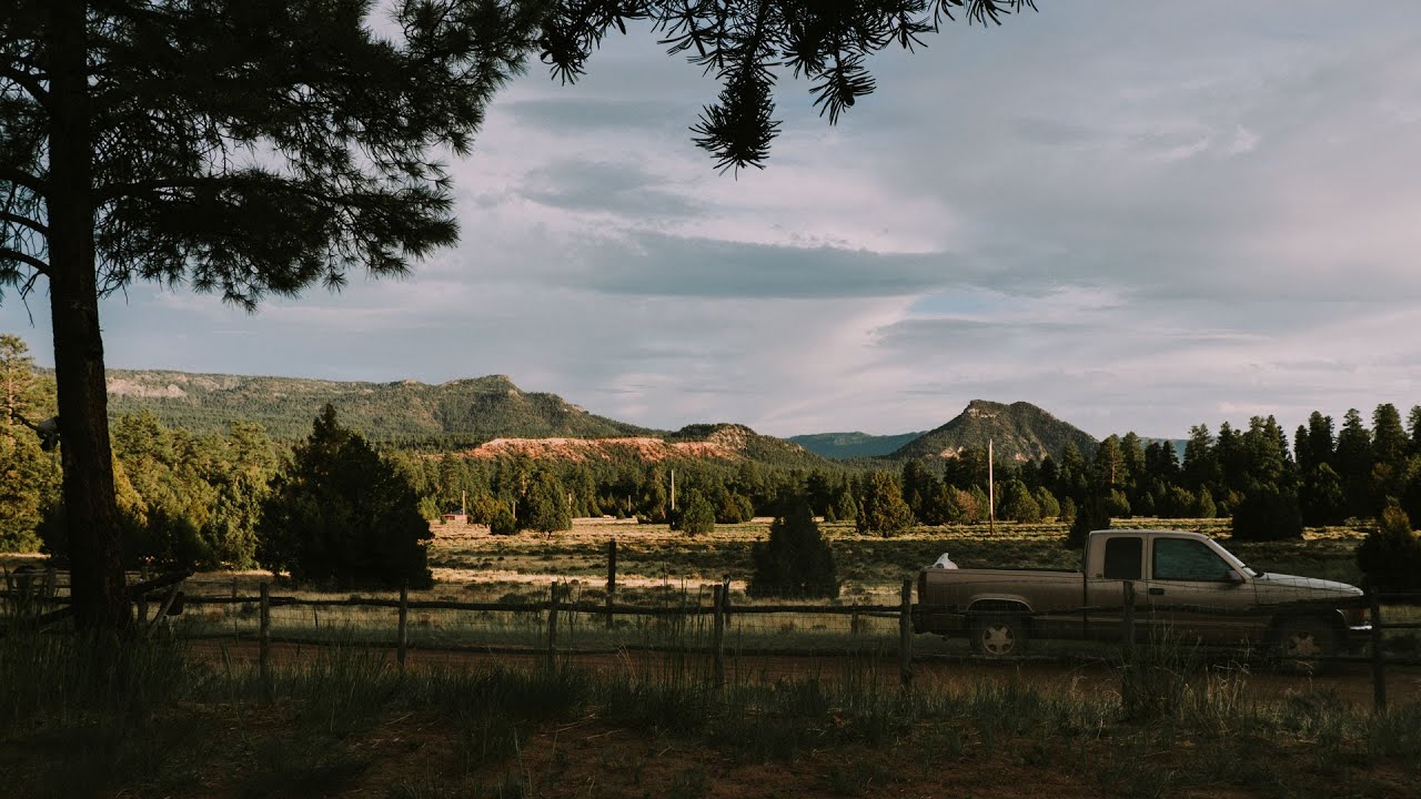 Relaxing Weekend with Papa Pig & Grandma Corn