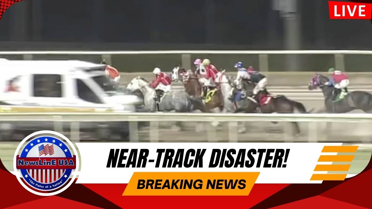 Эванджелин Даунс Хаос — Скорая помощь едва не сбила лошадей-квортхорсов! 🔴 Срочные новости в прям...