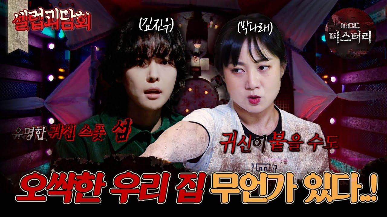 [#셀럽괴담회] 오싹한 우리 집 무언가 있다...! #심야괴담회 #심괴 #구해줘홈즈 #midnight #horrorstory MBC210611방송
