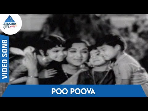Kulavilakku Tamil Movie Songs  Poo Poova Video Song  Gemini Ganesan  Saroja Devi  MSV