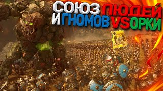 Cinematic Battle Союз Людей и Гномов vs Орки в Total War: Warhammer 2