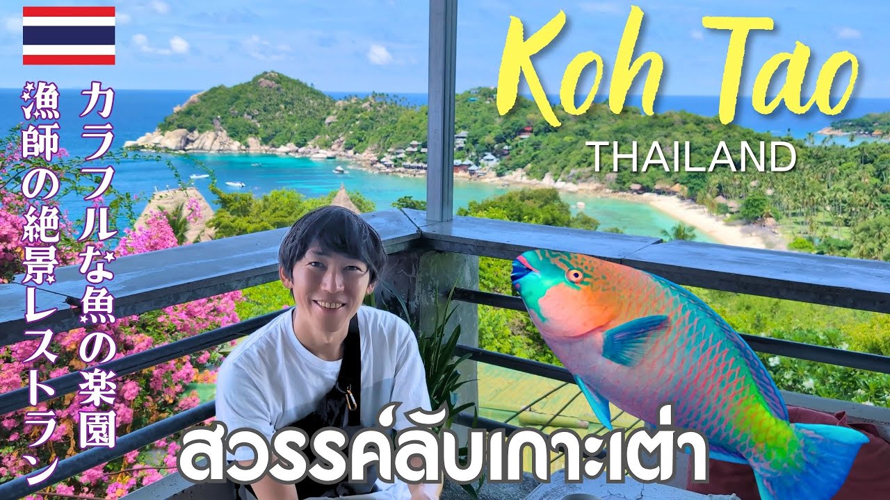 [Таиланд🇹🇭] Лучшие скрытые жемчужины Ко Тао: потрясающий рыбацкий ресторан и пляж морских черепах