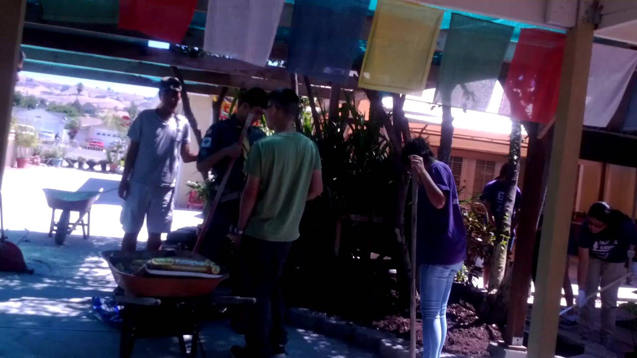 Silver Award on Angela's Take Action Project