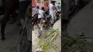 Download Lagu Sheepu putar gya😱out of control😳 #comedy #funny #cute #ytshorts #cow #goat #goatfarm #bakraeid MP3 Download Lagu Sheepu putar gya😱out of control😳 #comedy #funny #cute #ytshorts #cow #goat #goatfarm #bakraeid MP3
