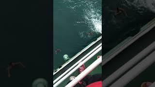 Seblum Siborang Pelabuhan Merak Mnuju Bakahuni