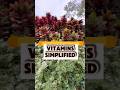 How Vitamins work in our body ? பாக்கலாமா? கொஞ்சம் bored ah தான் இருக்கும்… 😄