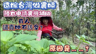 遠嫁台灣來種地  陸女在台灣申請農機補助 申請已批准 連大陸娘家媽媽都替她開心  卻被人譴責她不該拿……因為……？
