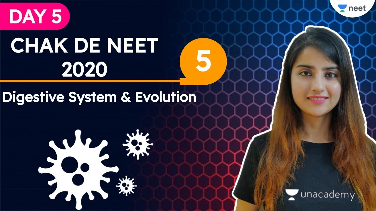Chak De NEET 2020 | Last Leg Revision E-5 | Digestive System & Evolution | Zoology | Seep Pahuja