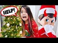 ELF ON THE SHELF IS REAL! AND IT'S BACK FOR A PAYBACK!!! | Emily and Evelyn