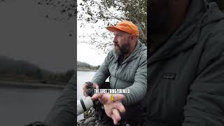 Get better wildlife photos NOW!