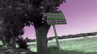 Vaugines 2021