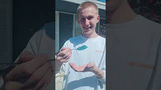 First Time Trying Sea Moss  #health #nootropic #seasons #jesus #famiky @trueseamoss