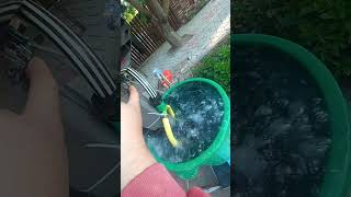 Обкатка лодочного мотора Тохатсу 9.8 в БОЧКЕ (прогрев перед обкаткой)