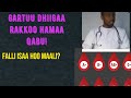 Gartuu Dhiigaa Kamtu Rakkoo Hamaa Qaba
