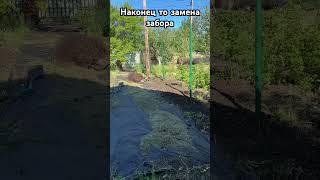 Новый забор