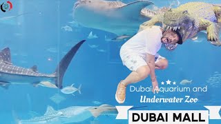 Dubai Aquarium and Water Animals. DUBAI MALL