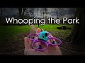 Weekend Whoop In the Park