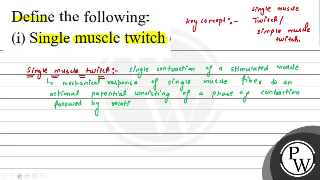 define-the-following-i-single-muscle-twitch-youtube
