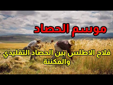 فيديو: عطلة نادي الحصاد "الهدية الخضراء"