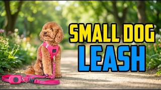 TOP 5 Best Dog Leash for Small Dogs 2026