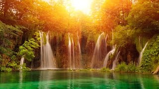 8 Horas Música Dormir, Música Tranquila para Dormir, Ondas Delta, Insomnia, Música Relajante, ☯2944