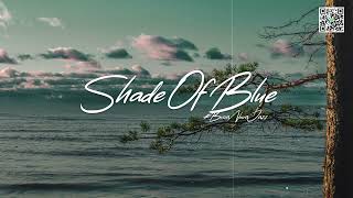 Flavio - Shade Of Blue | Official Audio Release