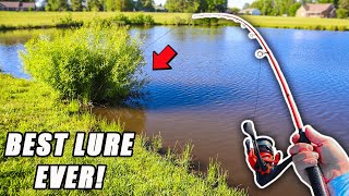 The BEST Pond Fishing Lure: YOU NEED TO THROW THIS!