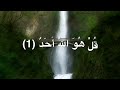 سورة الإخلاص بصوت القارئ عبد الرحمن مسعد تلاوة جدا جميلة 