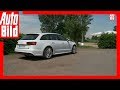 Audi A6 Avant 2018 Kofferraum Masse