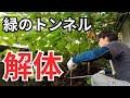 【廃墟化】緑に飲み込まれた空き家に希望の光を灯す。