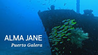 ALMAJANE, Puerto Galera🇵🇭                  #diving #sabangbeach #philippines #사방비치 #알마제인 #다이빙 #티나스