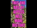 The Surprising History of the Apple ile ilgili video