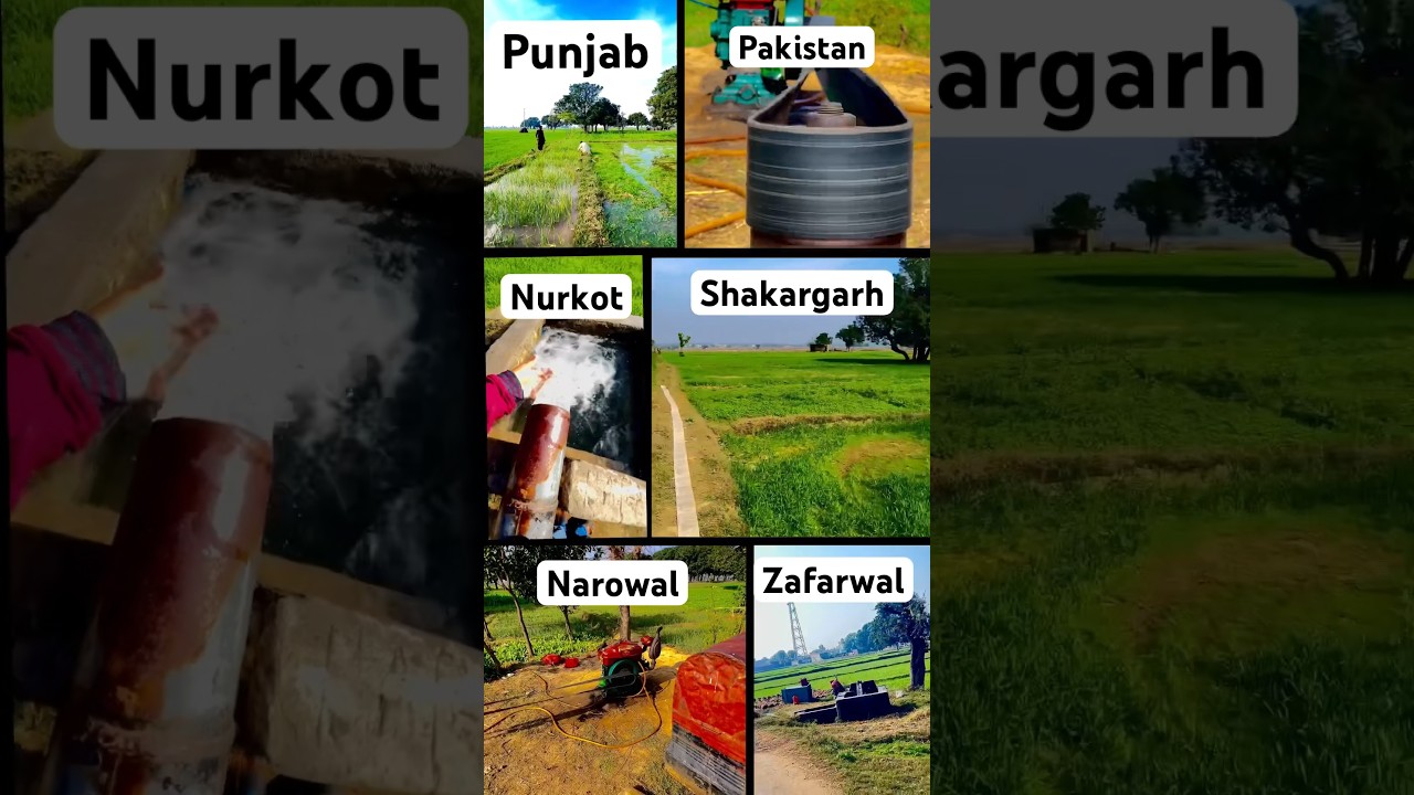 Nurkot, Shakargarh, Narowal, Zafarwal 😍😍🤩🤩