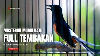 MASTERAN MURAI BATU FULL ISIAN TEMBAKAN MEWAH SANGAT AMPUH BUAT MASTERAN MURAI BATU ANDA