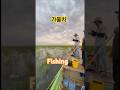 #fishing#물고기잡기#fish#viralvideo#subscribers #reels#shortvideo#shorts#youtubeshorts#youtuber#short#fyp