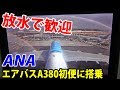 【初日に乗った】ANA エアバスA380 フライング・ホヌ エコノミークラス 【1905ハワイX】成田空港→ダニエルKイノウエ空港 5/24-05