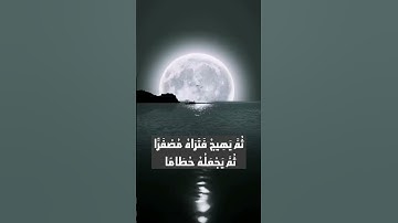 تلاوة ممتعة لسورة الزمر الآية (21)