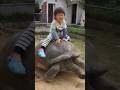 竜宮城に連れて行かれそうになったと思ったら…