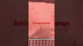 Arrivage Zeeman 7 avril 2026 # Zeeman # décoration # maison