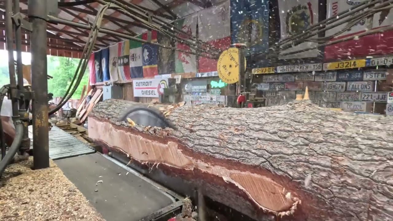 Sawing more sticky wood # 727