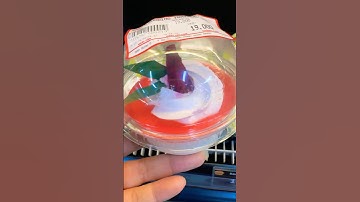 Thùng rác thúi lắm không ăn đâu #funny #shorts