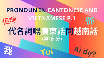 PRONOUN in Cantonese and Vietnamese. Đại danh từ trong tiếng Quảng Đông & tiếng Việt (part 1)