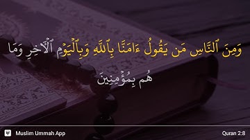 سوره بقره، آیه ۸